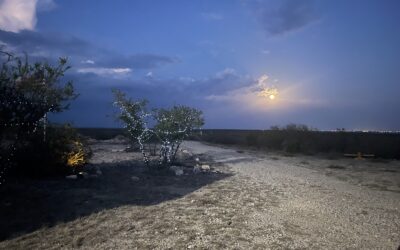 Stars, Stories & Stillness – The Magic of OTG Nights