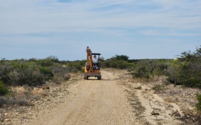 Behind the Scenes: Preparing Our Haunted Trails for a Spooky Adventure