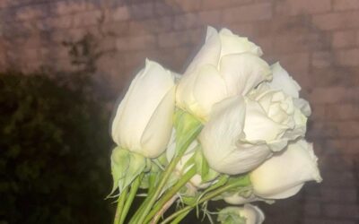 Loss, Roots, and Hope: Family at the Heart of OTG